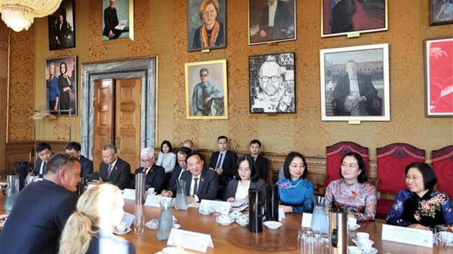 NA Vice Chairman seeks stronger ties with Denmark